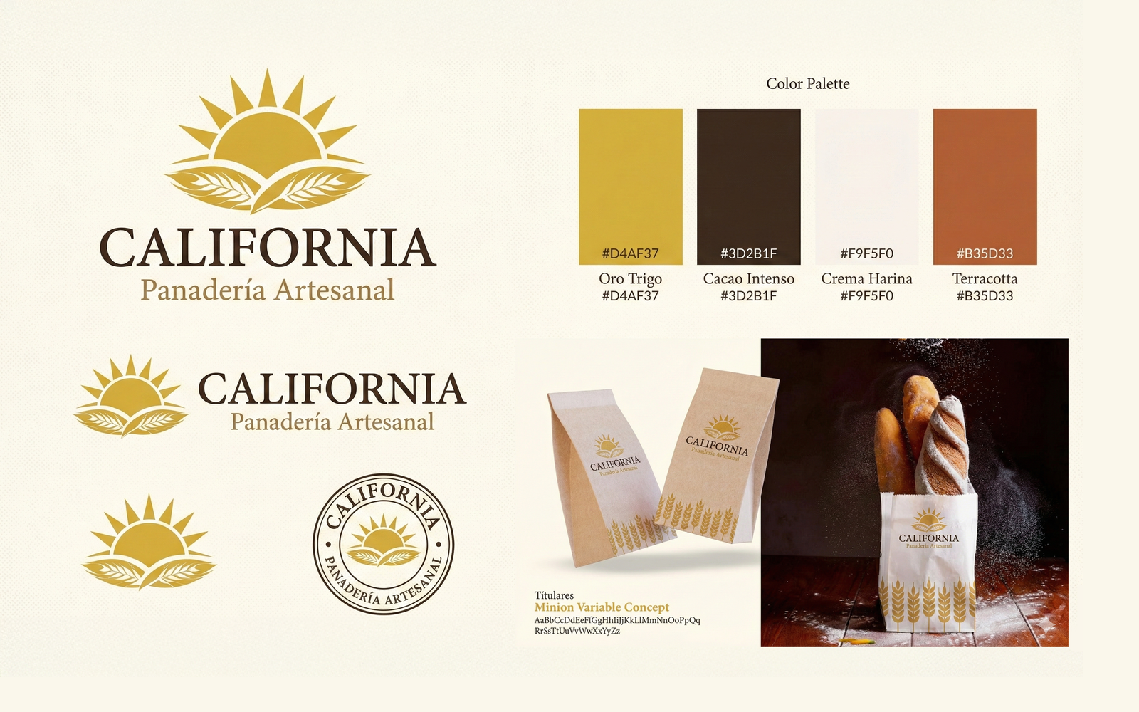 Proyecto de rediseño y renovación de marca corporativa - Gloria Cárdenas